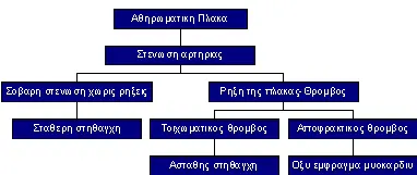 Εξέλιξη Πλάκας