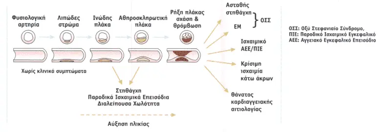 CT Scanner Operation