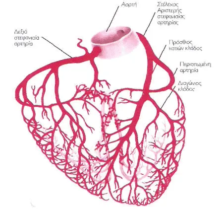Σχεδιάγραμμα Στεφανιαίων
