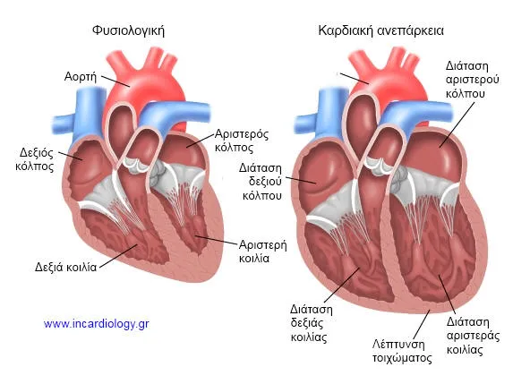 Παθοφυσιολογία