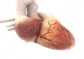 Χοληστερίνη