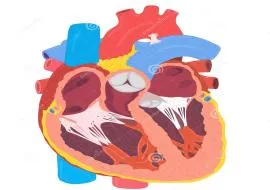 Κολπική μαρμαρυγή